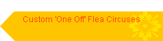 Custom 'One Off' Flea Circuses